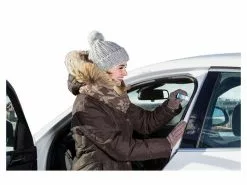 Sonax Pflegestift mit Hirschtalg, 20 g -Fahrzeug & Mobilität Sales 230094093 xxl