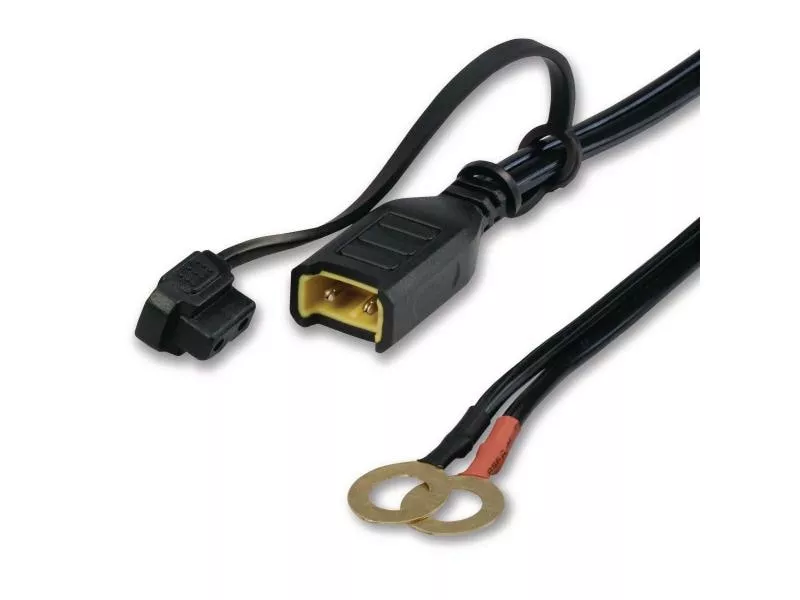 AEG Automotive Batterie-Ladekabel KK 12 mit Ringösen 1 AEG Automotive Batterie-Ladekabel KK 12 mit Ringösen